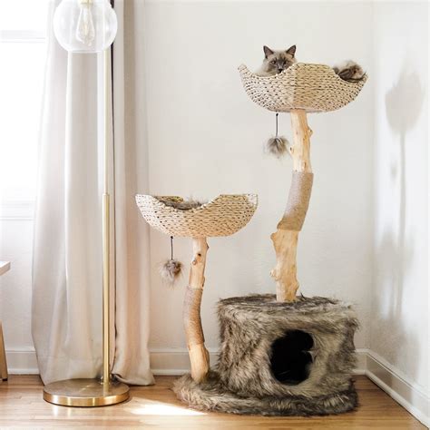 luxury cat trees and condos.